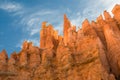 Red pinnacles (hoodoos) of Bryce Canyon, Utah, USA Royalty Free Stock Photo