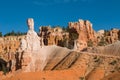 Red pinnacles (hoodoos) of Bryce Canyon, Utah, USA