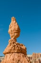 Red pinnacles (hoodoos) of Bryce Canyon, Utah, USA Royalty Free Stock Photo