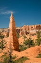 Red pinnacles (hoodoos) of Bryce Canyon, Utah, USA Royalty Free Stock Photo