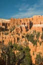 Red pinnacles (hoodoos) of Bryce Canyon, Utah, USA Royalty Free Stock Photo