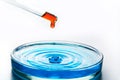 Red pipette dropping liquid into petri dish with blue liquid. Check the water for cleanliness. Concept chemical experiments and Royalty Free Stock Photo