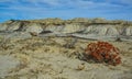 Red plant in the foreground. Weird sandstone formations created by erosion at Ah-Shi-Sle-Pah Wilderness Study Area, New Mexico, Royalty Free Stock Photo