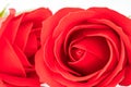 Red plastic fake roses on white Royalty Free Stock Photo