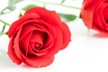 Red plastic fake roses on white Royalty Free Stock Photo