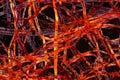 Red plastic fibers under the microscope