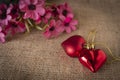 Red plastic hearts placed on the Sack.There is a flower placed on the left back Royalty Free Stock Photo