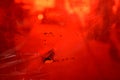 A red plastic sheet wit a melted hole Royalty Free Stock Photo