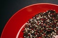 Red plate with a mixture pepper on a dark background