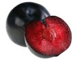 Red plum Royalty Free Stock Photo