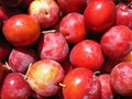 Red Plum Royalty Free Stock Photo