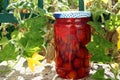 Red plum compote in a jar Royalty Free Stock Photo