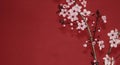 Red plum tree branch against a red wall Royalty Free Stock Photo