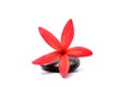 Red Plumeria flowers with zen stone Royalty Free Stock Photo