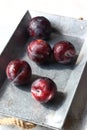 Red plums in a grey tray Royalty Free Stock Photo