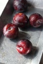 Red plums in a grey tray Royalty Free Stock Photo