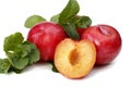 Red plums Royalty Free Stock Photo