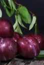 Red Plums Leafy Branch Royalty Free Stock Photo