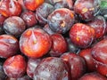 Red Plums, prunes