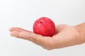 Red plums on white background