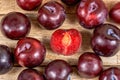 Red plums on wooden background