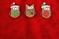 Red Plush Fur and Holiday Owls Christmas Background