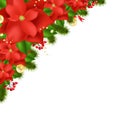 Red Poinsettia Royalty Free Stock Photo