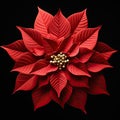 Red Poinsettia on Black Background Royalty Free Stock Photo