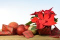 Red poinsettia flower with fir tree with red and golden decoration balls and checked ribbon. Christmas composition. Elegant Royalty Free Stock Photo