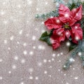 Red poinsettia flower with fir tree and snow on golden glitter background. Christmas composition. Elegant postcard Royalty Free Stock Photo