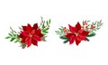 Red poinsettia flower set. Christmas decorations with beautiful flower, fir tree branches and holly vector illustration Royalty Free Stock Photo