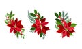 Red poinsettia flower set. Christmas decorations with beautiful flower and fir tree branches vector illustration Royalty Free Stock Photo