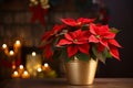 Red poinsettia flowers growing in pot on wooden table against Christmas decorations background Royalty Free Stock Photo