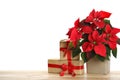 Red Poinsettia in pot and gifts on wooden table, space for text. Christmas traditional flower Royalty Free Stock Photo