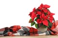 Red Poinsettia in pot and warm plaid on wooden table, space for text. Christmas traditional flower Royalty Free Stock Photo