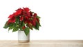 Red Poinsettia in pot on wooden table, space for text. Christmas traditional flower Royalty Free Stock Photo