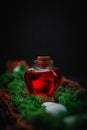 Red poison in a heart-shaped bottle lies in the bark of a tree with moss and stones on a black Royalty Free Stock Photo