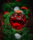 Red poison in a heart-shaped bottle lies in the bark of a tree with moss and stones on a black Royalty Free Stock Photo