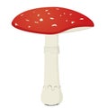 Red poison mushroom (Amanita muscaria) isolated on white backgro