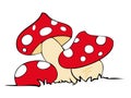 Red poison mushrooms. Royalty Free Stock Photo