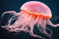 Red poisonous jellyfish in blue water Royalty Free Stock Photo