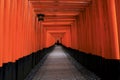 Red Polls Tunnel at Fushimi Inari, Kyoto, Japan