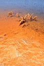 red polluted lake