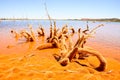 red polluted lake Royalty Free Stock Photo