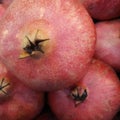 Red pomegranate close up