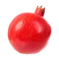 Red pomegranate fruit isolated on white background Royalty Free Stock Photo