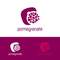 Red pomegranate logo. Pomegranate with grains logo and identity. Royalty Free Stock Photo