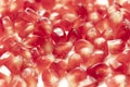 Red pomegranate seeds, white background. Mono Shooting. Juicy bright red fruit. Love Royalty Free Stock Photo