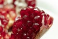 Red pomegranate seeds, white background. Mono Shooting. Juicy bright red fruit. Love Royalty Free Stock Photo