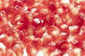 Red pomegranate seeds, white background. Mono Shooting. Juicy bright red fruit. Love Royalty Free Stock Photo